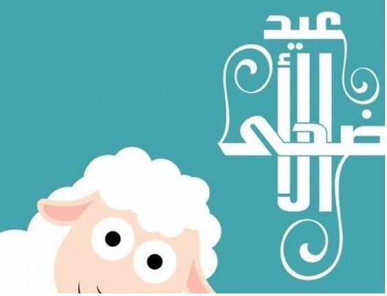 معرفة شروط  وأحكام الاضحيه والمضحي