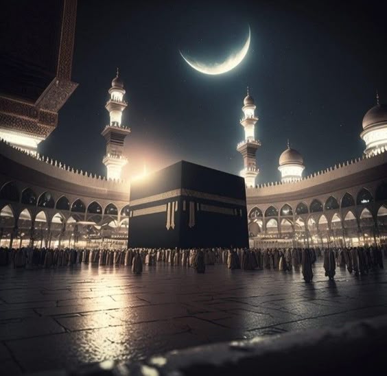 خطوات تسجيل المستثمر الأجنبي المؤهل إلكترونياً داخل المملكة